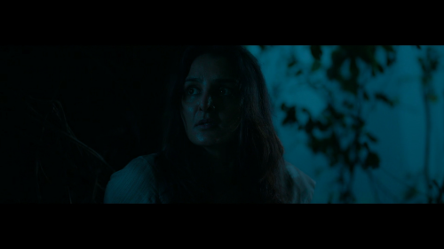 Lucifer-aka-L2-Empuraan-2025-1080P-DSNP-WEB-DL-H.265-DDP5.1-HINMALTELTAMKAN-ESUB-SHB931.mkv_20250529_224736.418.png