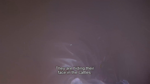 a3819354965e.png