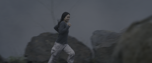 f74fc2913480.png