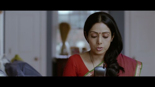 English-Vinglish-2012-HINDI-2160P-ZEE5-WEB-DL-H265-DDP5.1-ESUB-SHB931.mkv_20260124_162201.172.jpg