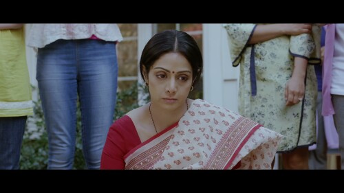 English-Vinglish-2012-HINDI-2160P-ZEE5-WEB-DL-H265-DDP5.1-ESUB-SHB931.mkv_20260124_162231.066.jpg