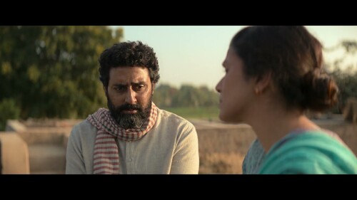 Kaalidhar-Laapata-2025-HINDI-1080P-ZEE5-WEB-DL-H264-DDPA5.1-ESUB-SHB931.mkv_20260208_160746.132.jpg