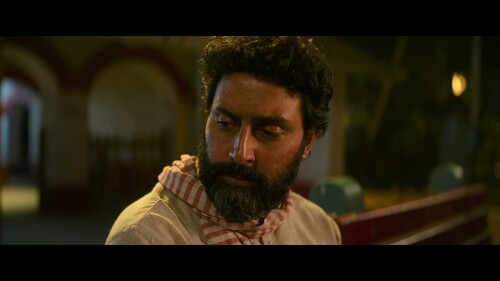 Kaalidhar-Laapata-2025-HINDI-2160P-ZEE5-WEB-DL-H265-DDPA5.1-ESUB-SHB931.mkv_20260211_004037.542.jpg