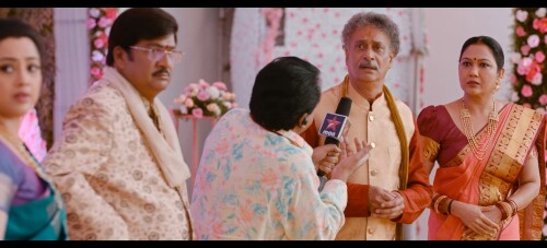 Organic-Mama-Hybrid-Alludu-AKA-Jamai-No-1-2023-HINDI-1080P-AMZN-WEB-DL-H.265-DDP2.0-ESUB-SHB931.mkv_20260227_161218.433.jpg